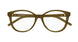 008 - Brown - Transparent