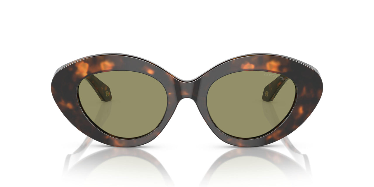 599314 - Tortoise - Green