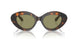 599314 - Tortoise - Green