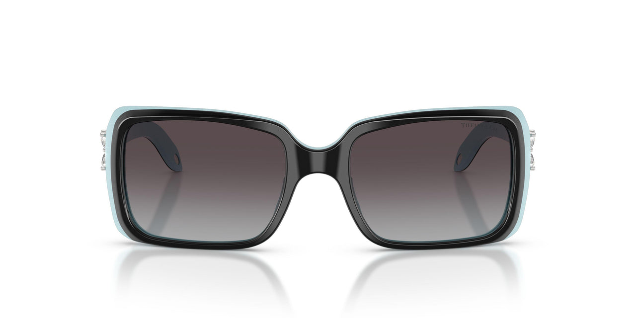 80553C - Black - Gray Gradient