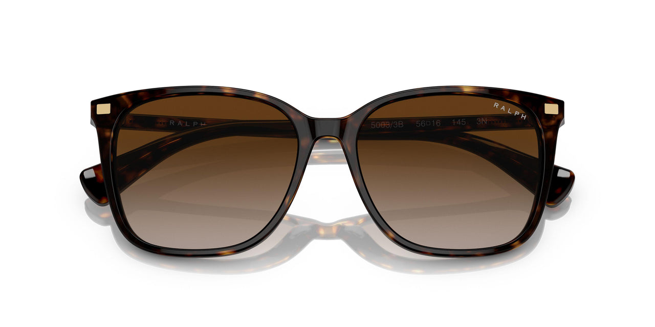 50033B - Havana - Gradient Brown