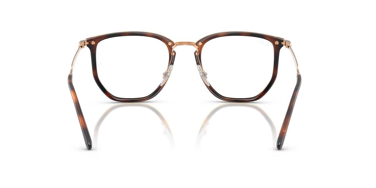 5687 - Brown - Clear