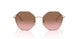 507514 - Pink - Pink Gradient Brown