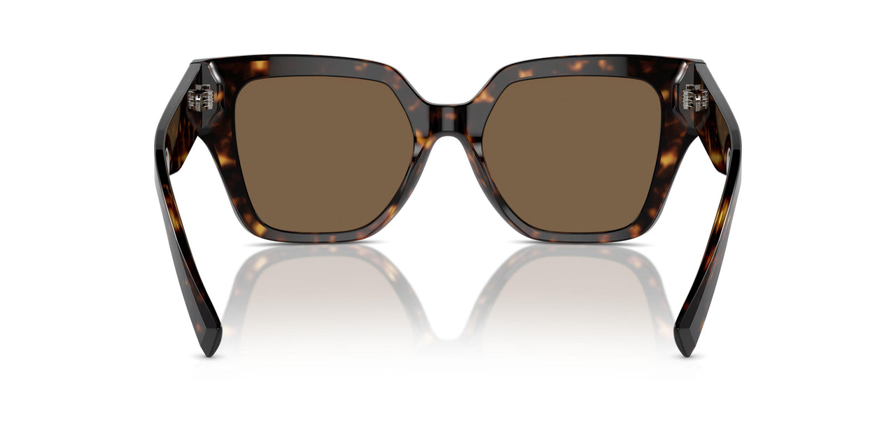 502/73 - Tortoise - Dark Brown