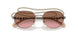 513814 - Light Brown - Pink Gradient Brown