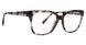 TBL - Tortoise/Blue