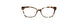 BTO - Black/Tortoise [BTO]
