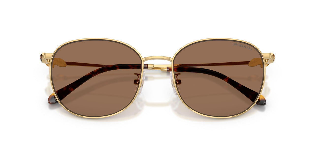 403773 - Gold - Dark Brown