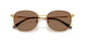 403773 - Gold - Dark Brown