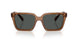 835887 - Brown - Dark Grey