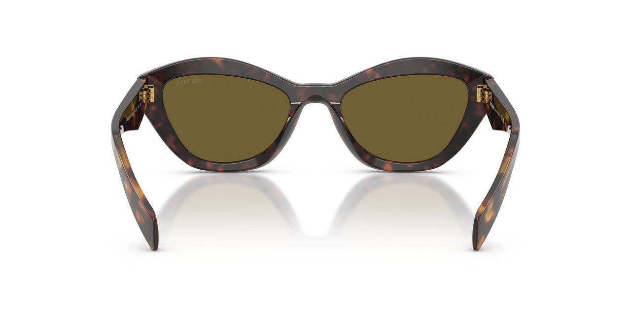 17N09Z - Tortoise - Dark Brown