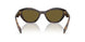 17N09Z - Tortoise - Dark Brown