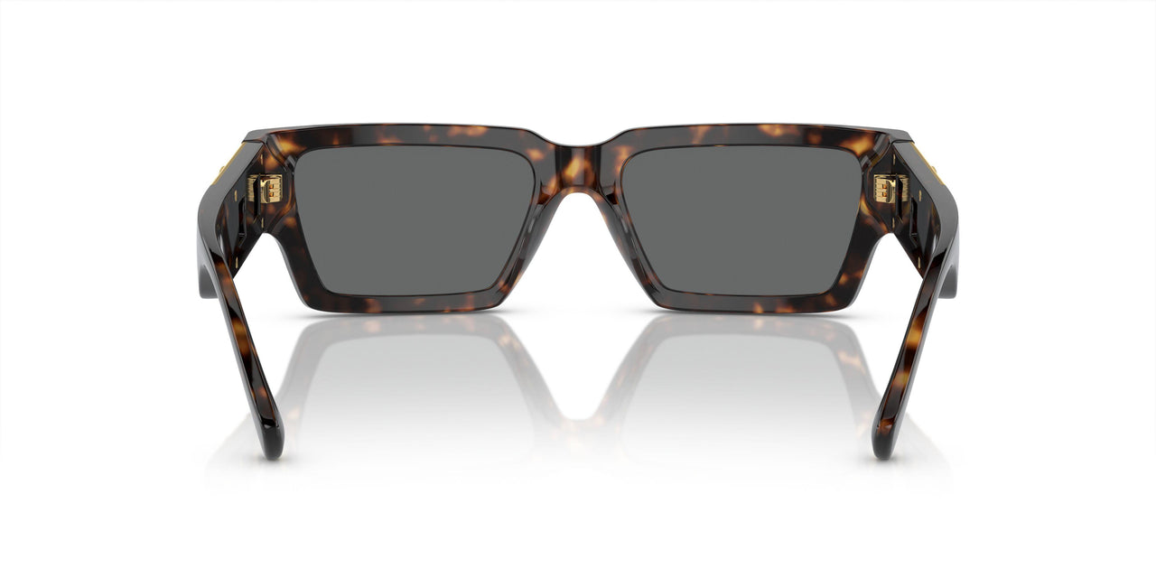 108/87 - Tortoise - Dark Grey
