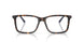 5003 - Tortoise