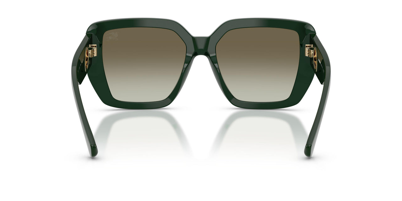 42038E - Green - Green Gradient