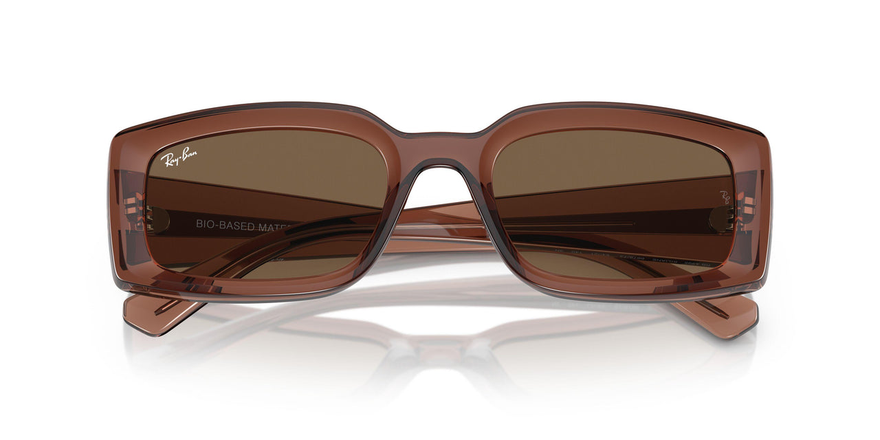 667873 - Brown - Dark Brown