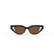 55E - Shiny Ff Havana - Brown