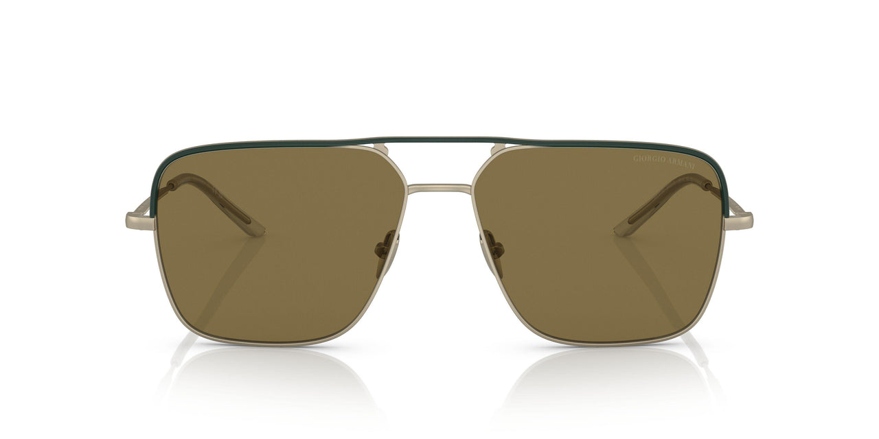 300273 - Gold - Dark Brown