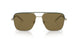 300273 - Gold - Dark Brown