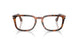 1231 - Brown