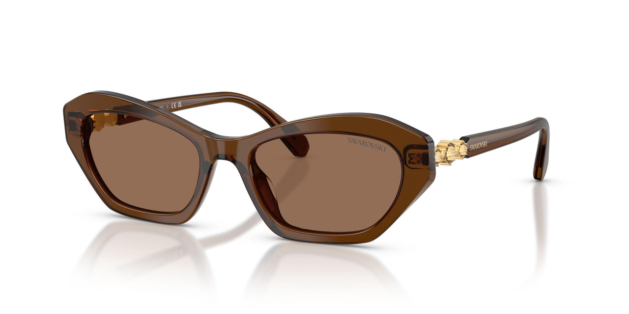 108473 - Brown - Dark Brown