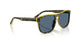 743/80 - Tortoise - Dark Blue