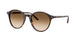 Ray-Ban Bernard 2230F Sunglasses