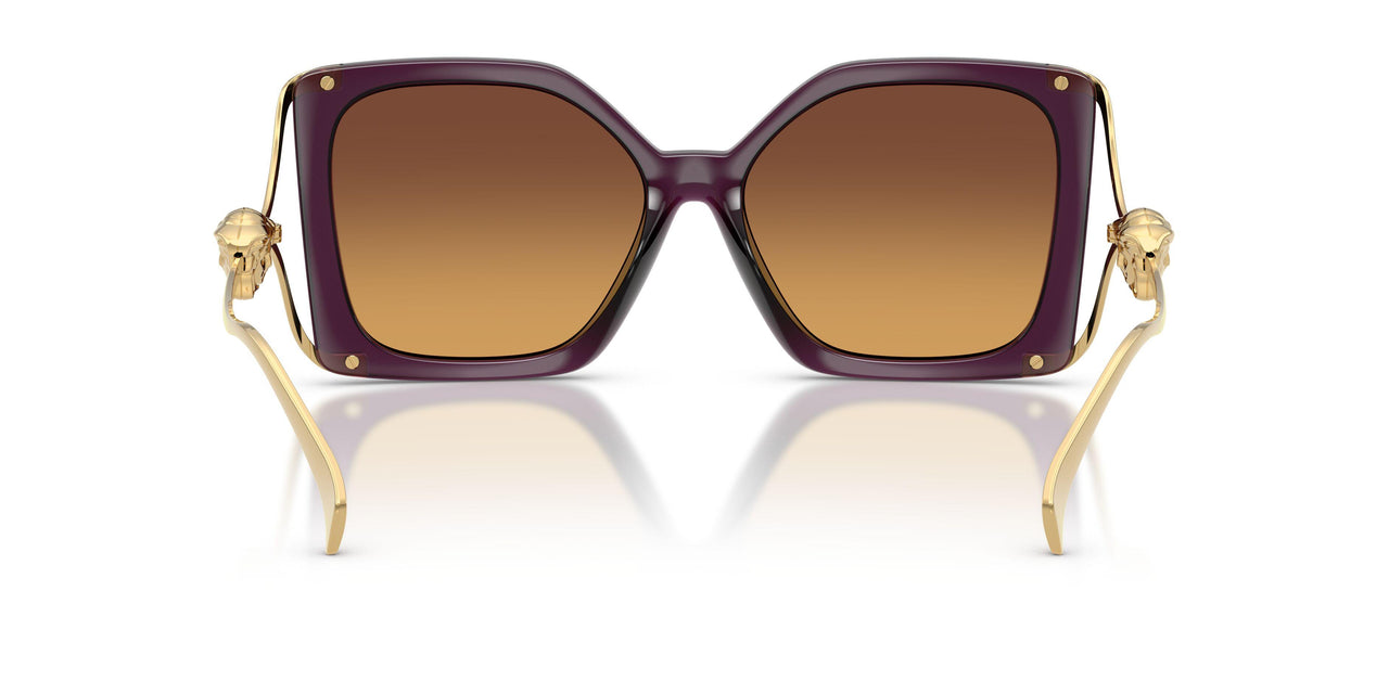 5536T5 - Violet - Yellow Gradient Brown