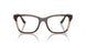 3153 - Brown