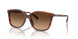 574174 - Tortoise - Brown Gradient