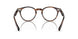 1724 - Brown