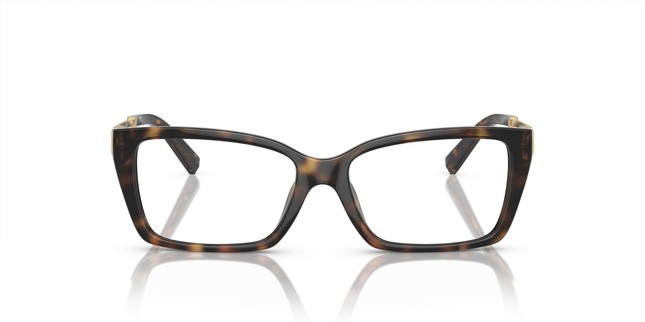 8015 - Tortoise