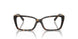 8015 - Tortoise