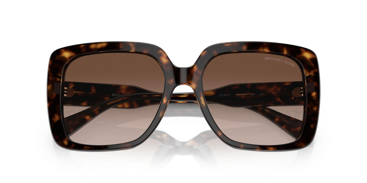 300613 - Tortoise - Brown Gradient