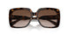 300613 - Tortoise - Brown Gradient