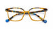 HVYW - Havana Yellow
