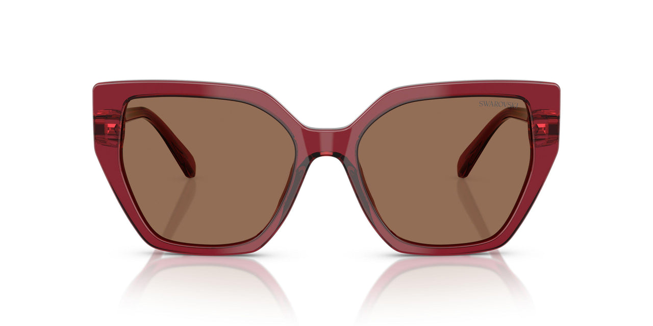 105573 - Red - Dark Brown
