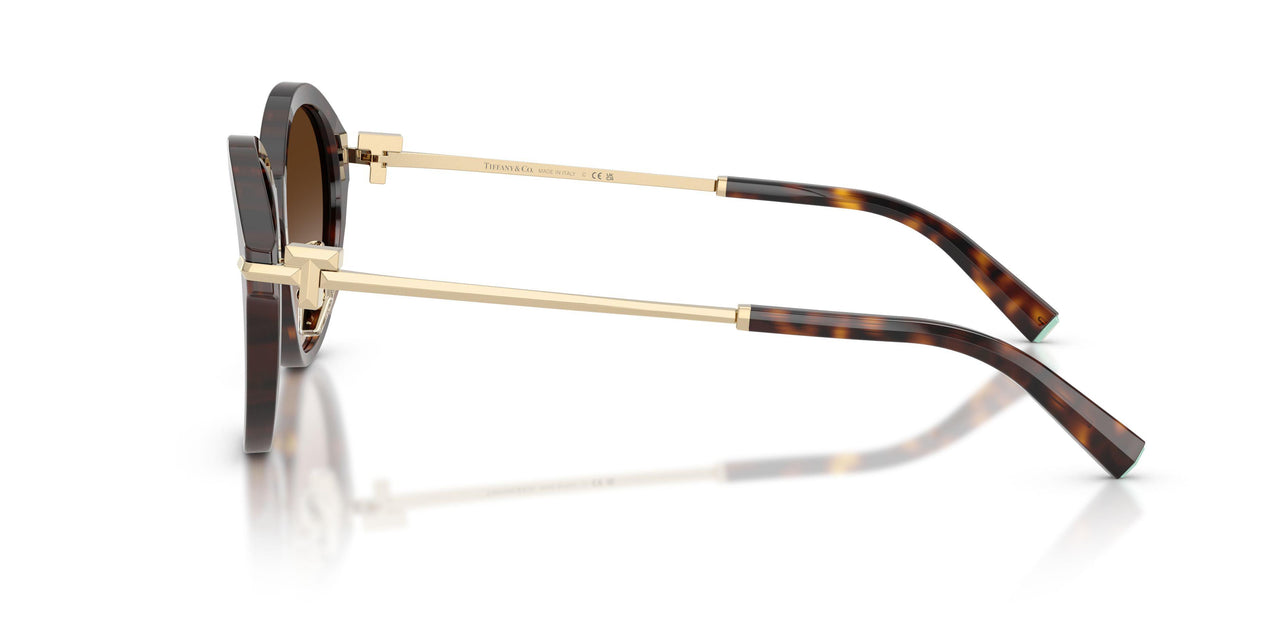 80153B - Tortoise - Brown Gradient