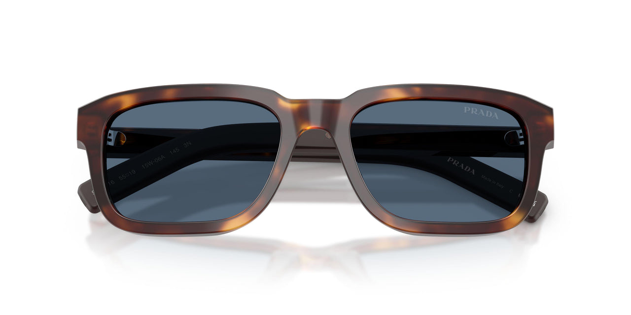 15W06A - Tortoise - Dark Blue