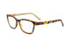WSSRN04 Gloss Brown Demi/Champagne