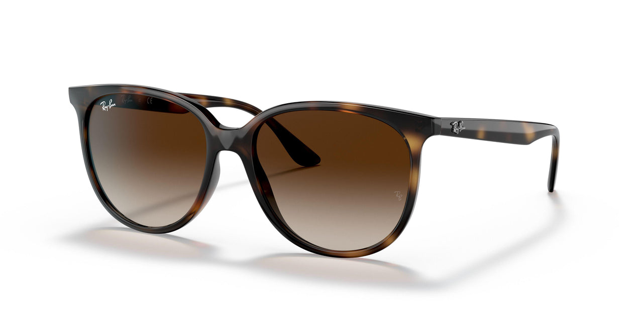 710/13 - Havana - Gradient Brown