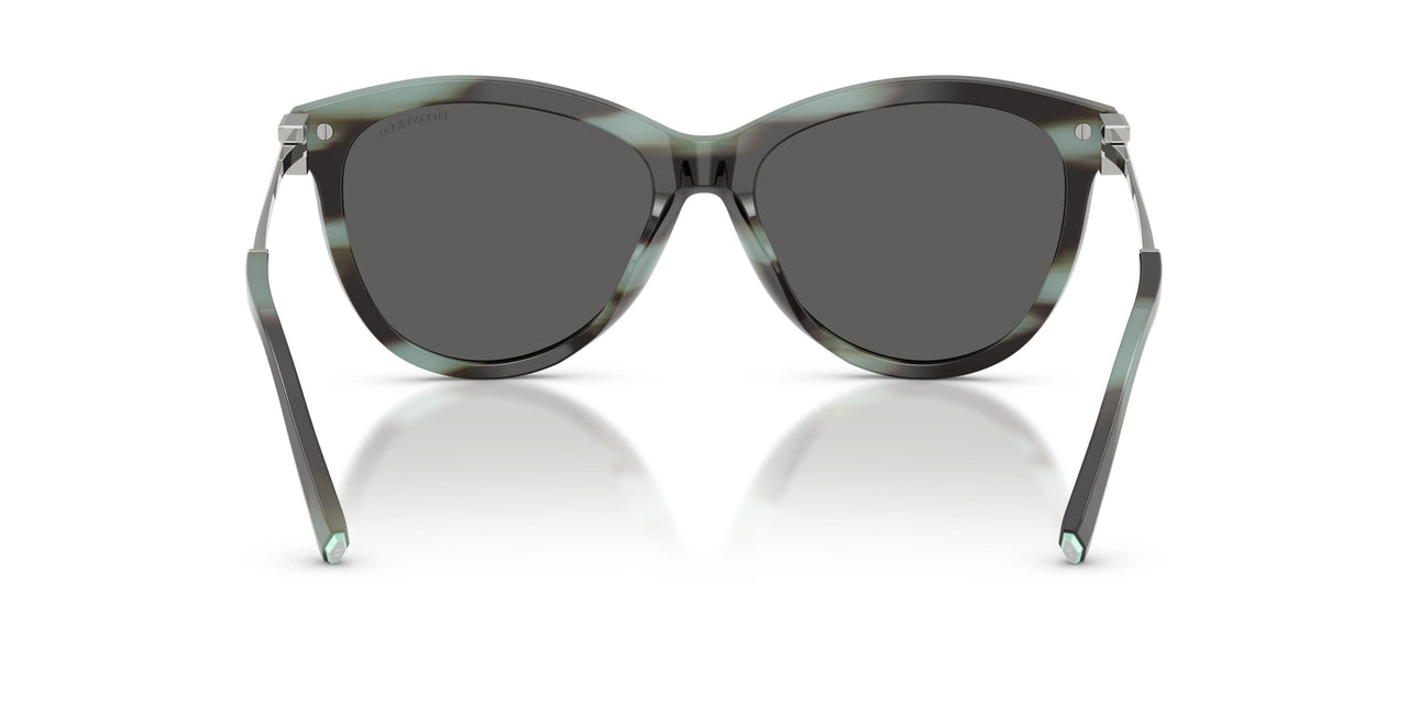 8443S4 - Tortoise - Dark Grey