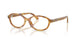 Polo 2311U Eyeglasses