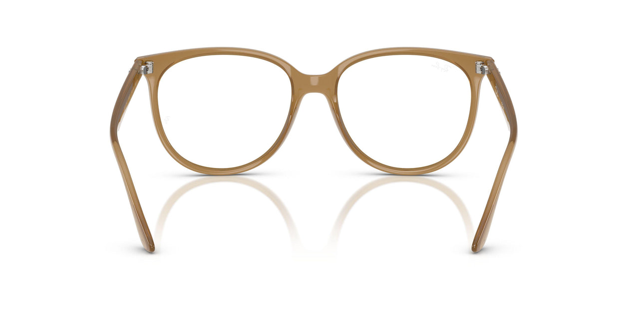 8412 - Brown - Clear