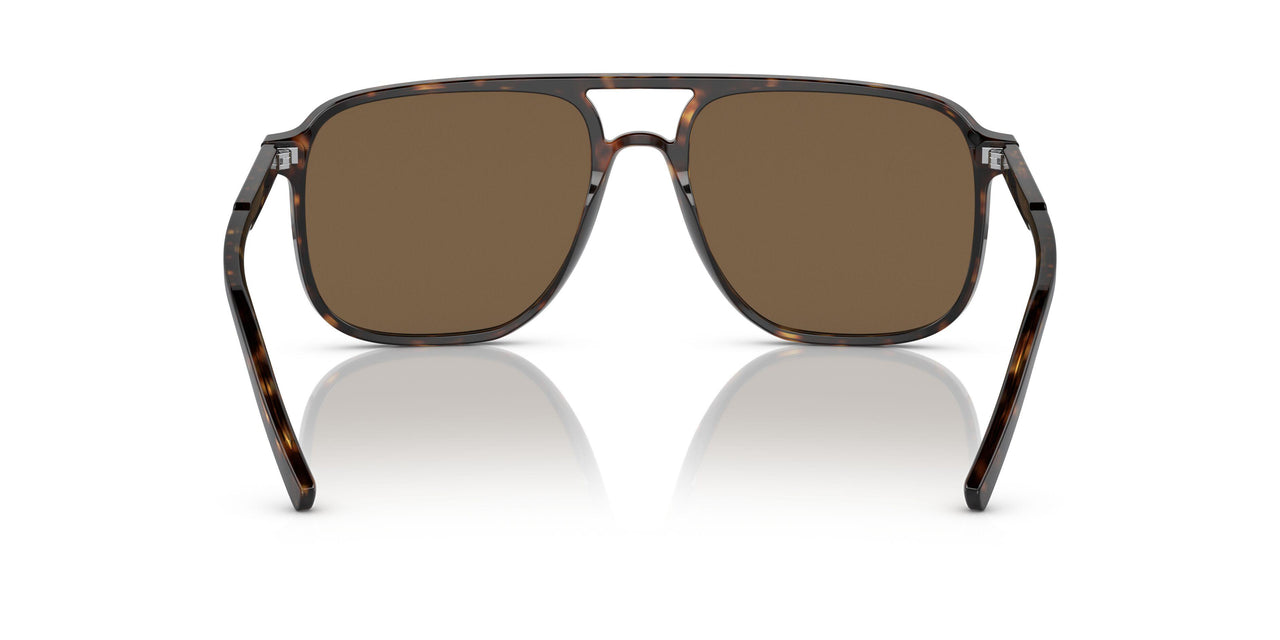 502/73 - Havana - Dark Brown