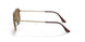 922833 - Gold - Brown