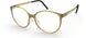 5530 - Warm Olive