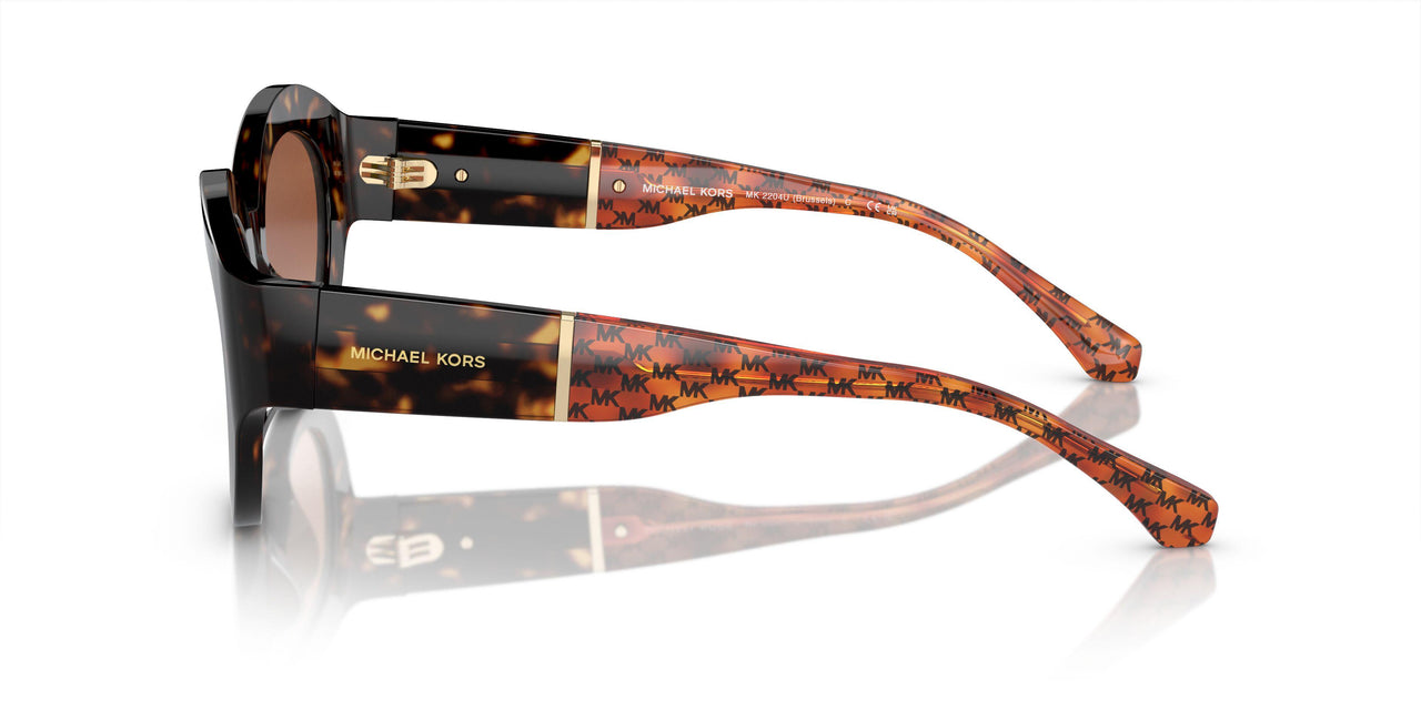 300613 - Tortoise - Brown Gradient