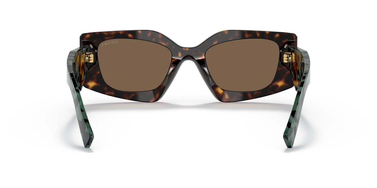 2AU06B - Havana - Dark Brown