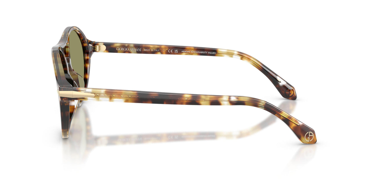 623214 - Tortoise - Green